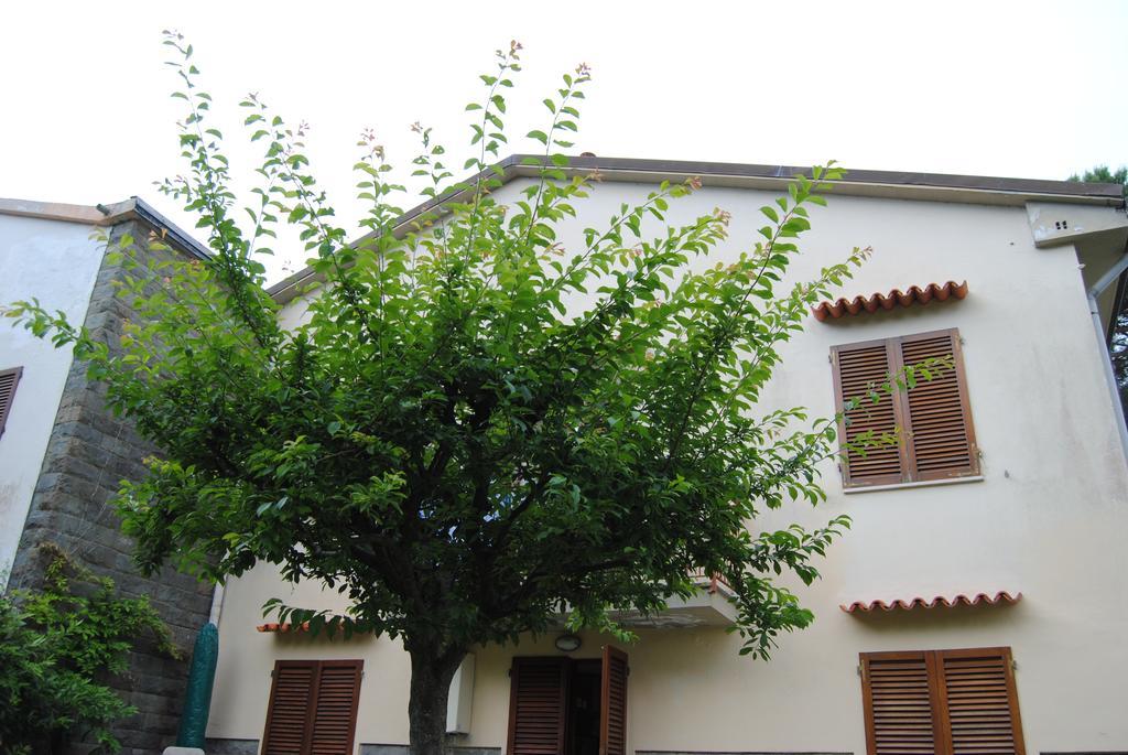 Il Susino Apartment Tirrenia Luaran gambar